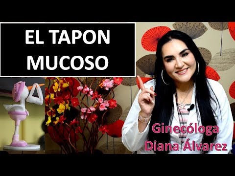 Tapón Mucoso Embarazo: Descubre cómo es y qué debes saber