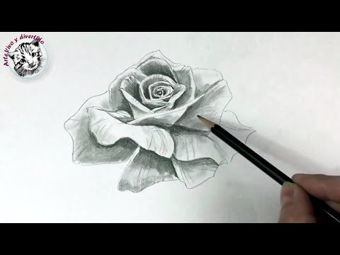 Cómo dibujar una rosa paso a paso a lápiz: Guía completa