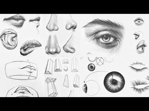Aprende a dibujar la nariz de una persona: Guía paso a paso
