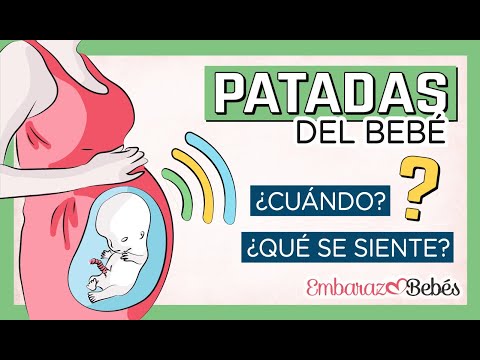 Descubre cómo se sienten los primeros movimientos del bebé