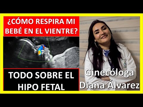 Hipo en el feto: ¿Cómo se siente y qué debes saber?