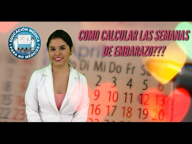 como cuentan los ginecologos las semanas de embarazo