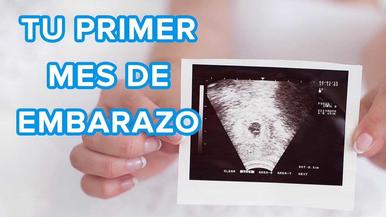 como es un bebe de 1 mes en el vientre