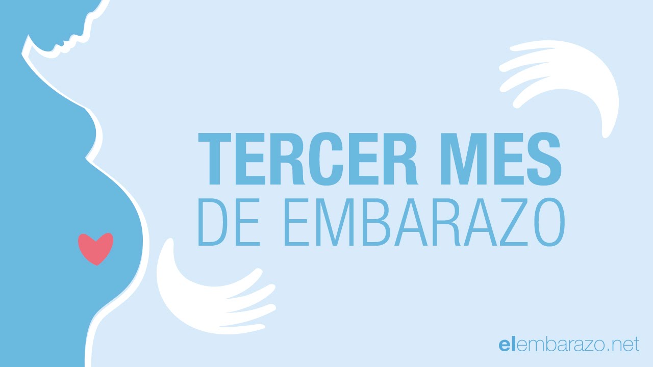 como es un bebe de 3 meses en el vientre