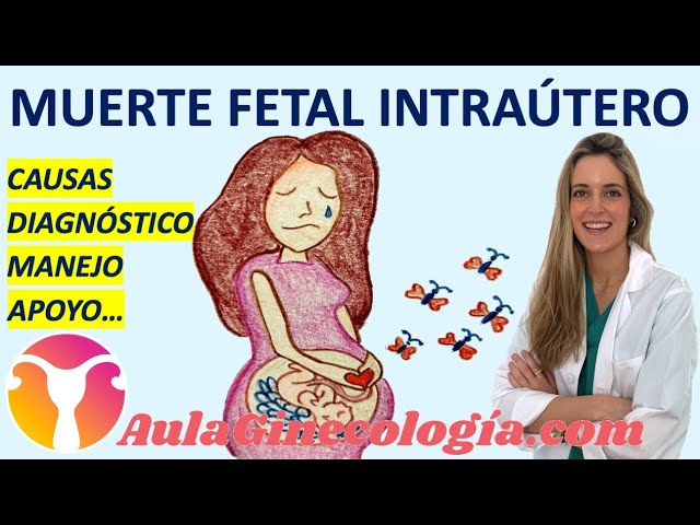 como saber si tu feto esta muerto