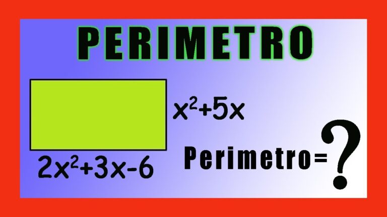 Como Sacar El Perimetro De Un Rectangulo Con Polinomios