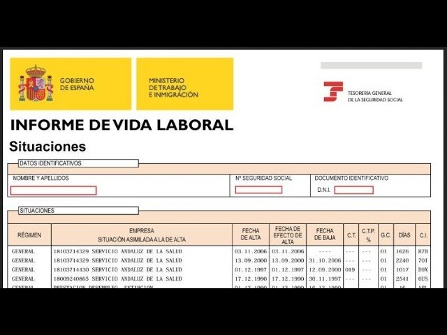 como ver tu vida laboral en internet