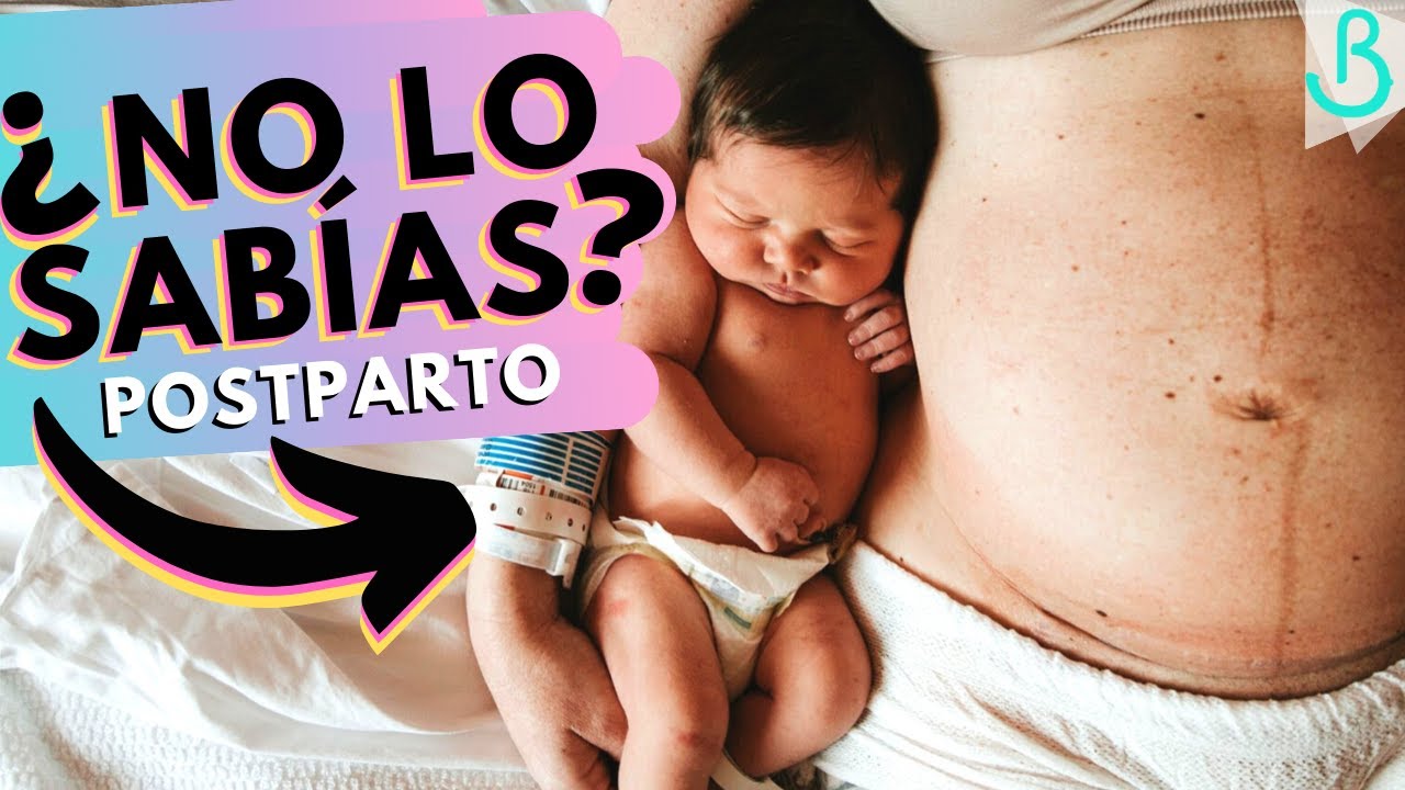 cuanto tardan los organos en acomodarse despues del parto