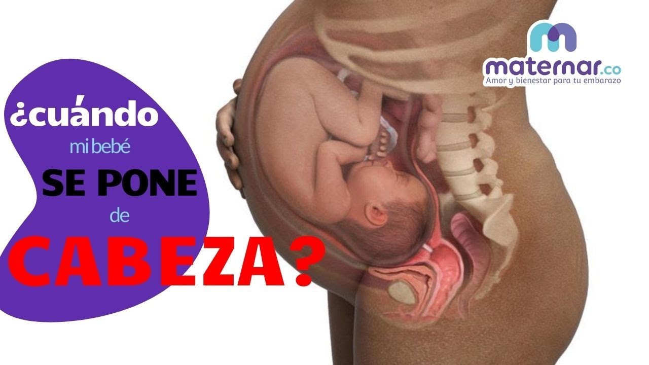 a las cuantas semanas se acomoda un bebe para nacer