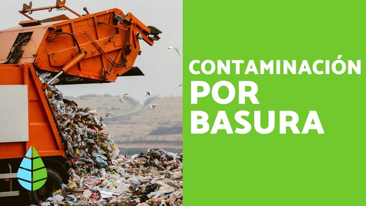 como afectan los desechos el ambiente del lugar donde viven