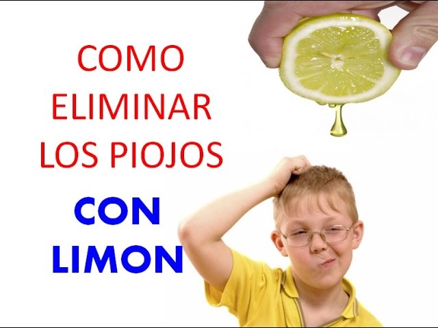 como eliminar los piojos con limon