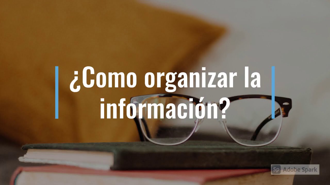 como esta organizada la informacion de internet
