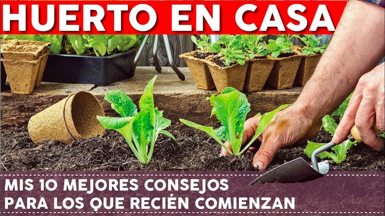 como hacer un huerto organico en casa