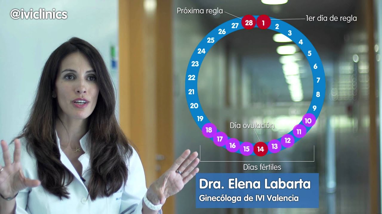 como quedar embarazada antes o despues dela menstruacion