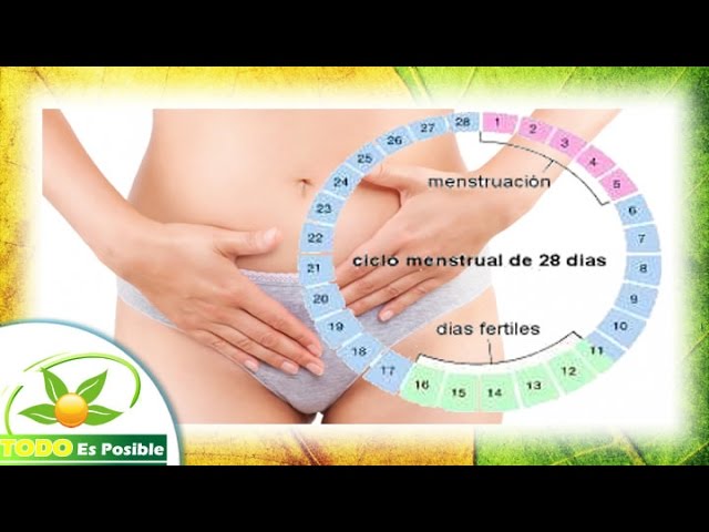 como regular la regla con remedios caseros