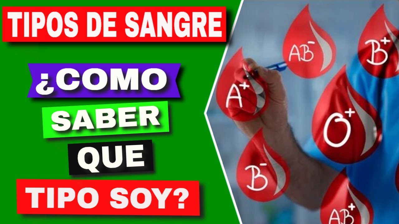 como saber que tipo de sangre soy