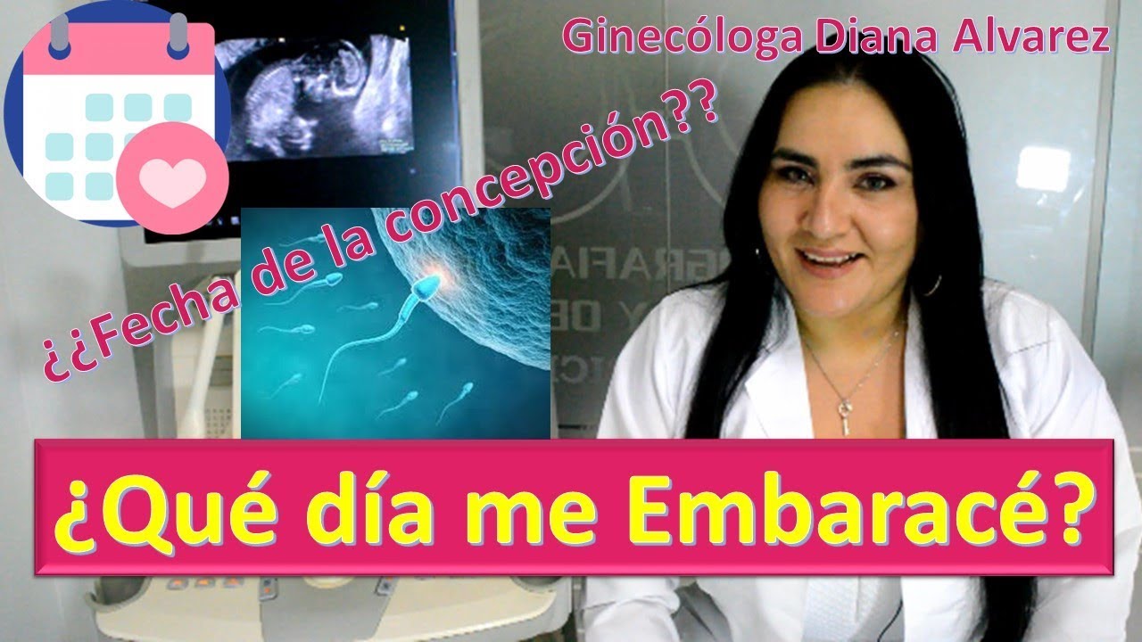 como se empieza a contar los dias de embarazo