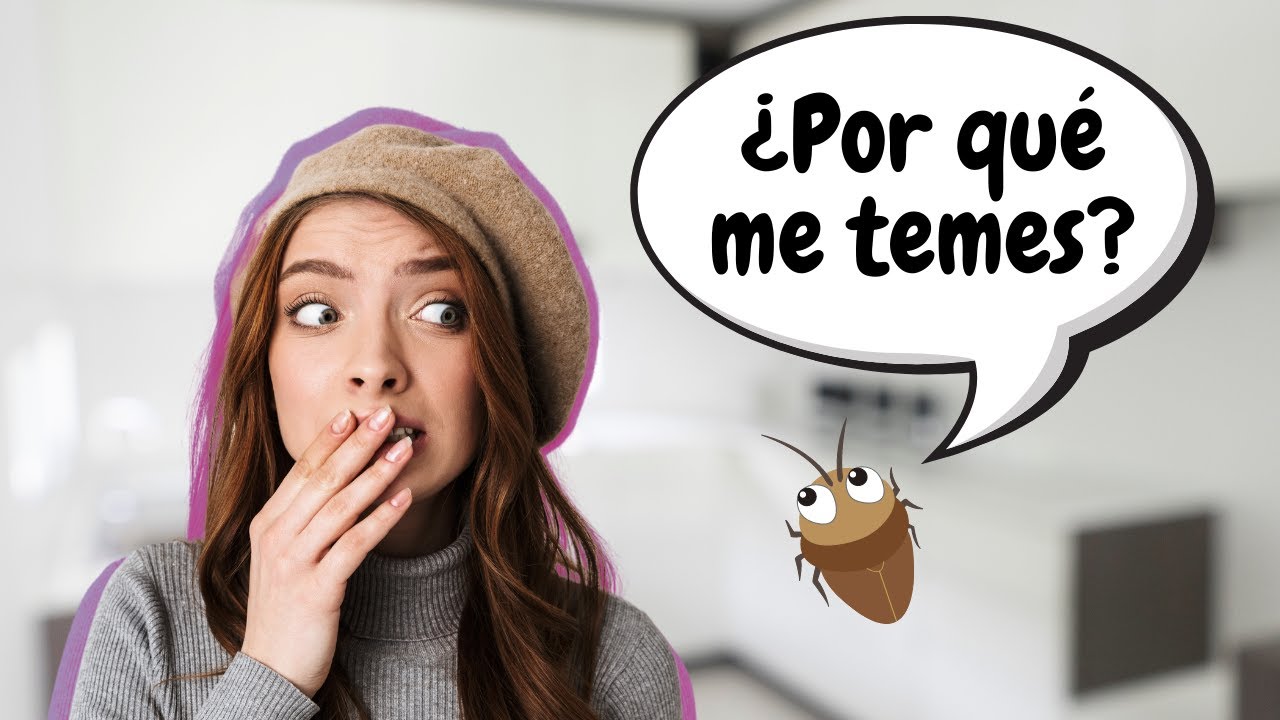 como se llama el miedo a las cucarachas