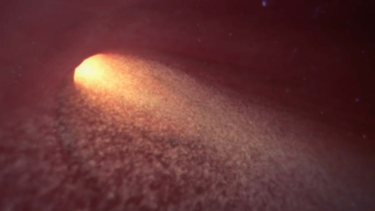 como se llama la union del ovulo y el espermatozoide