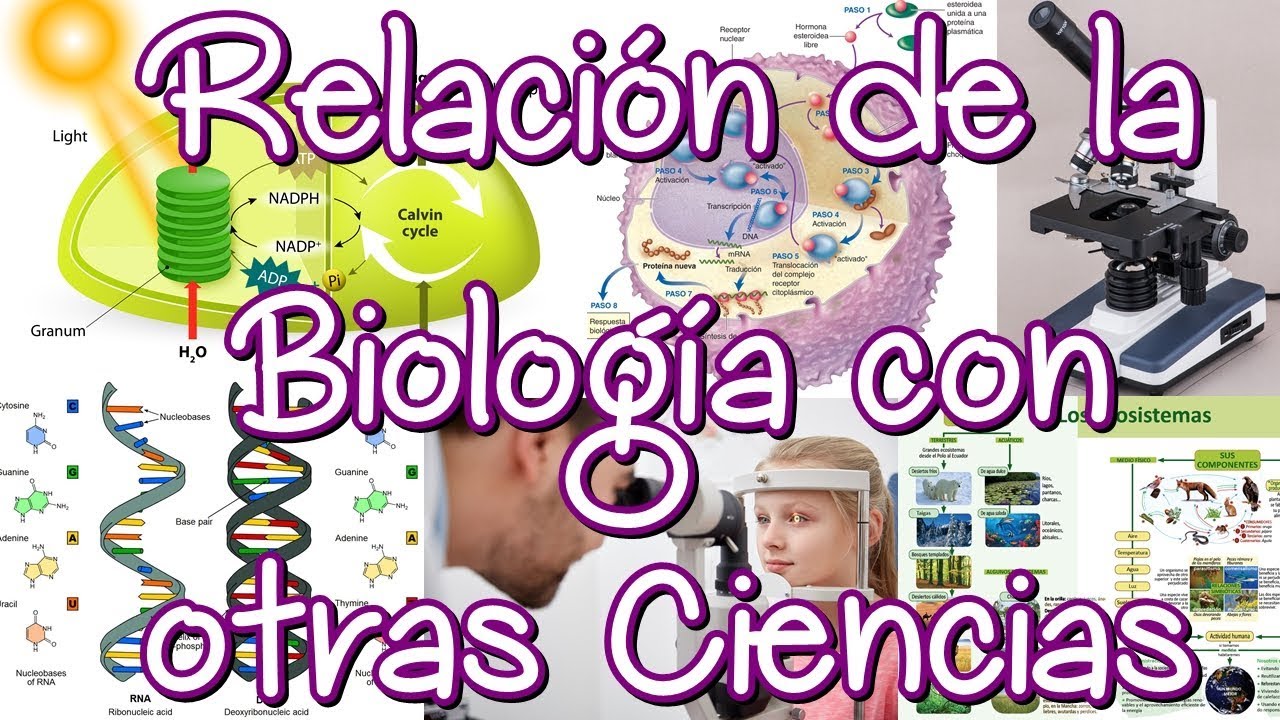 como se relaciona la biologia con otras ciencias