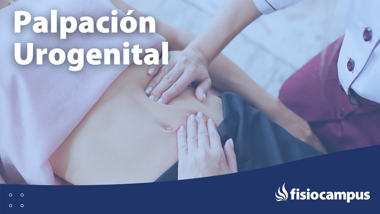 como se siente el utero cuando estas embarazada