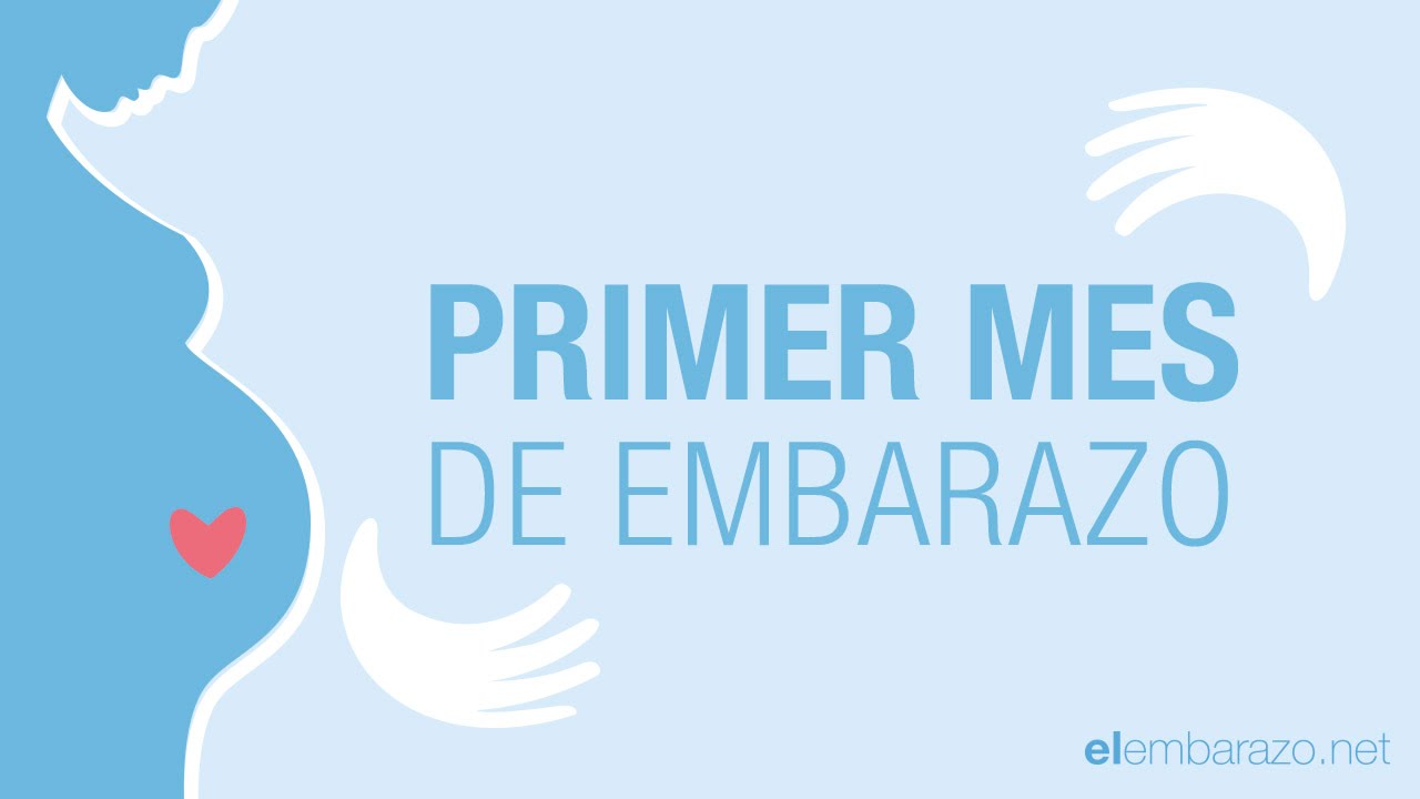 como se ve un bebe de 1 mes de embarazo