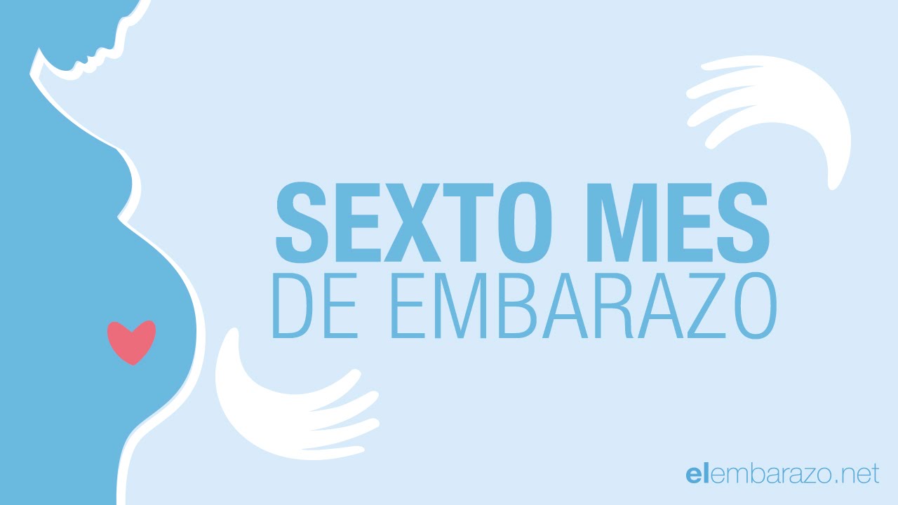 como se ve un bebe de 6 meses de gestacion