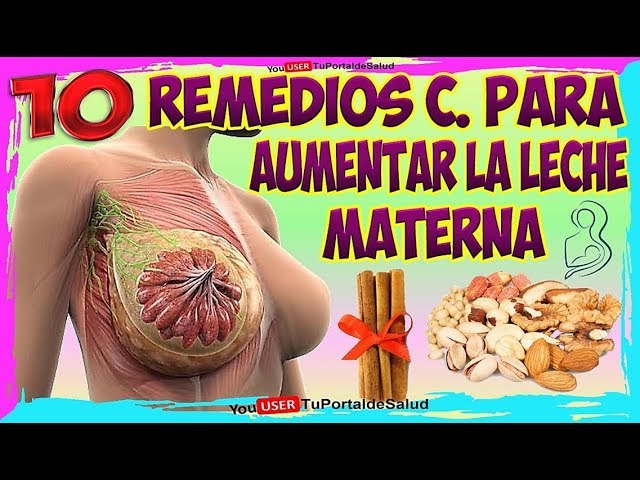 como tener mas leche materna en los senos remedios caseros