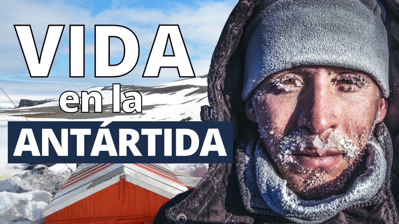 como vive la gente en la zona polar